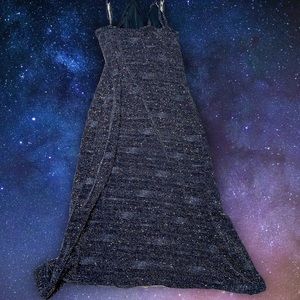 Haute Monde Sparkly Dress